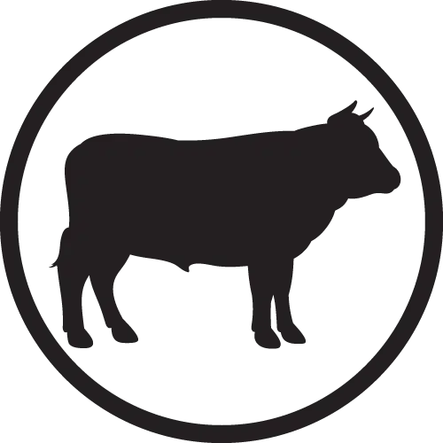 Beef Raw Dog Food