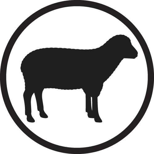 Lamb Raw Dog Food