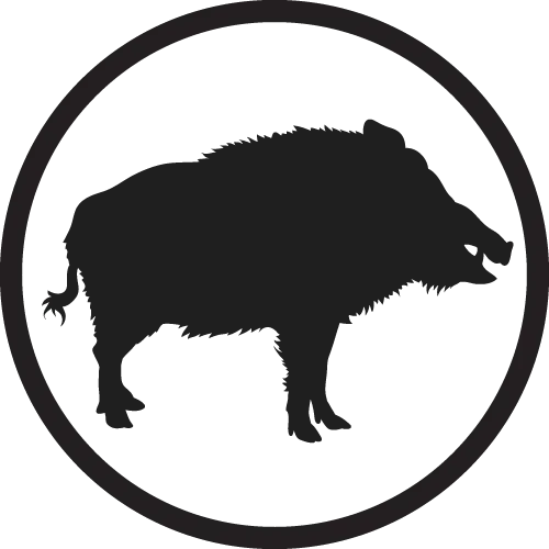Wild Boar Raw Dog Food