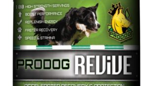 How Can I Boost My Dogs Energy?