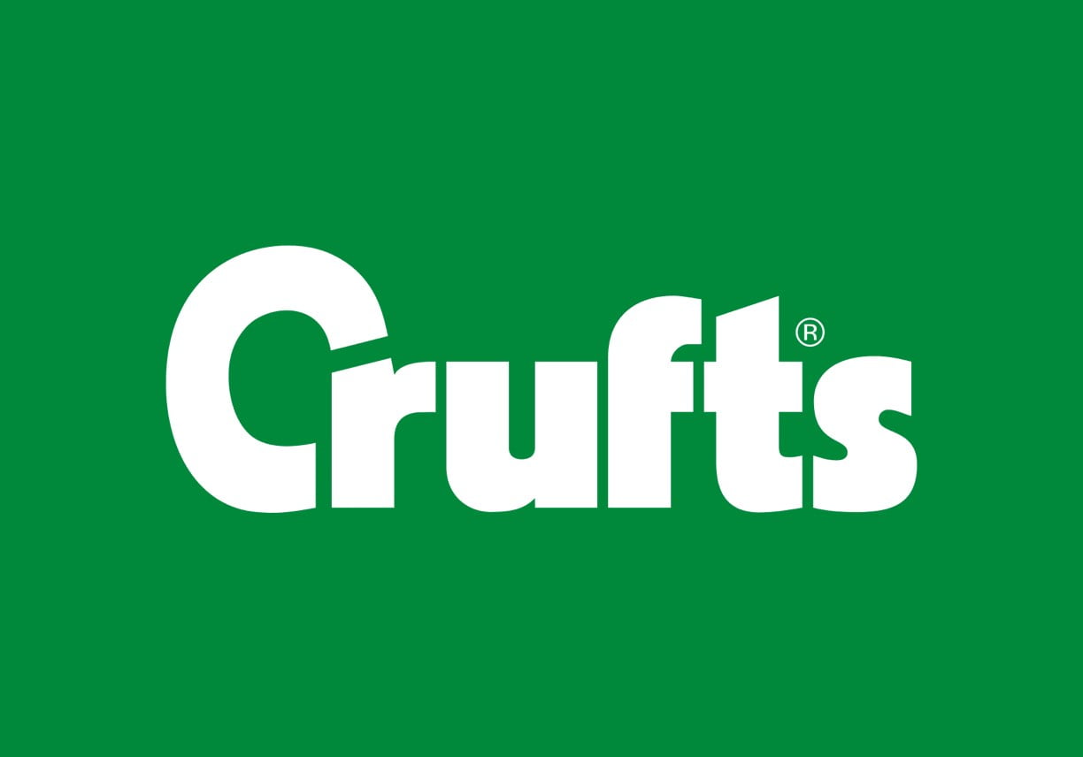 ProDog Helps Airedales, a Crufts Class Winner in 2017