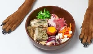 What is the BARF Diet? Is it the Same as Raw Feeding?