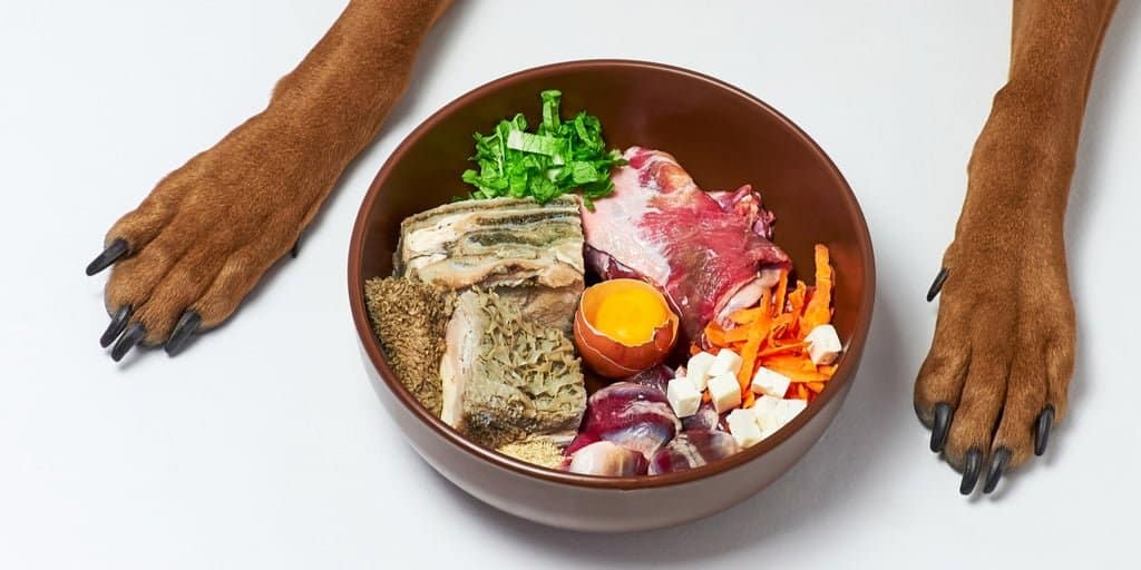 What is the BARF Diet? Is it the Same as Raw Feeding?
