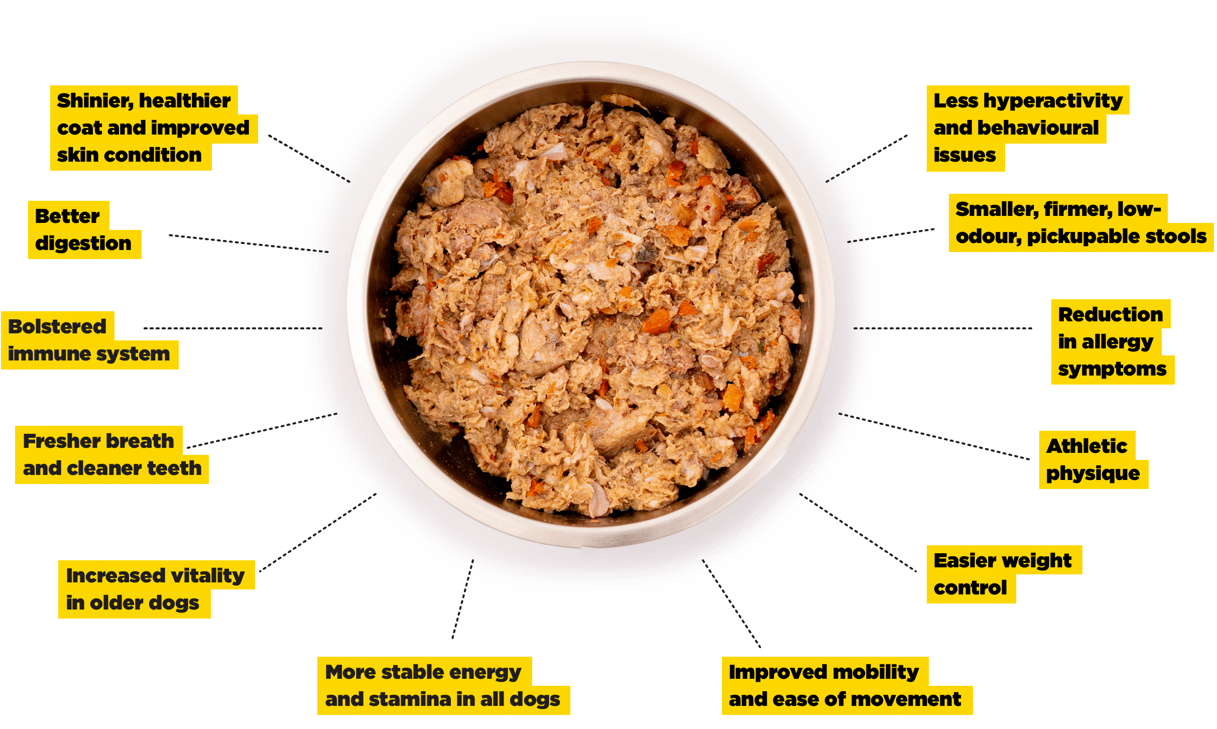 The benefits of raw dog food listed around a bowl of delicious raw dog food