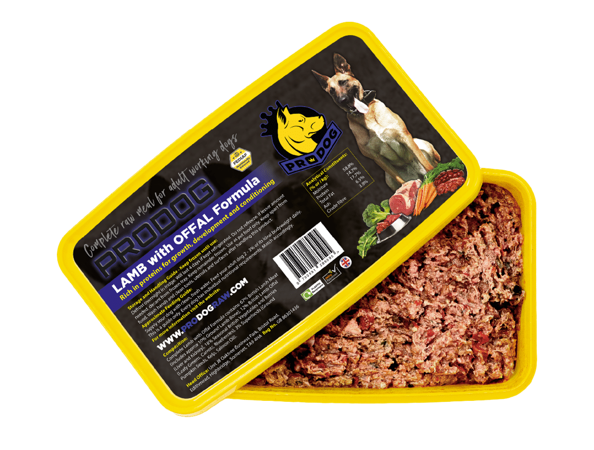 pack shot of lamb complete raw dog food
