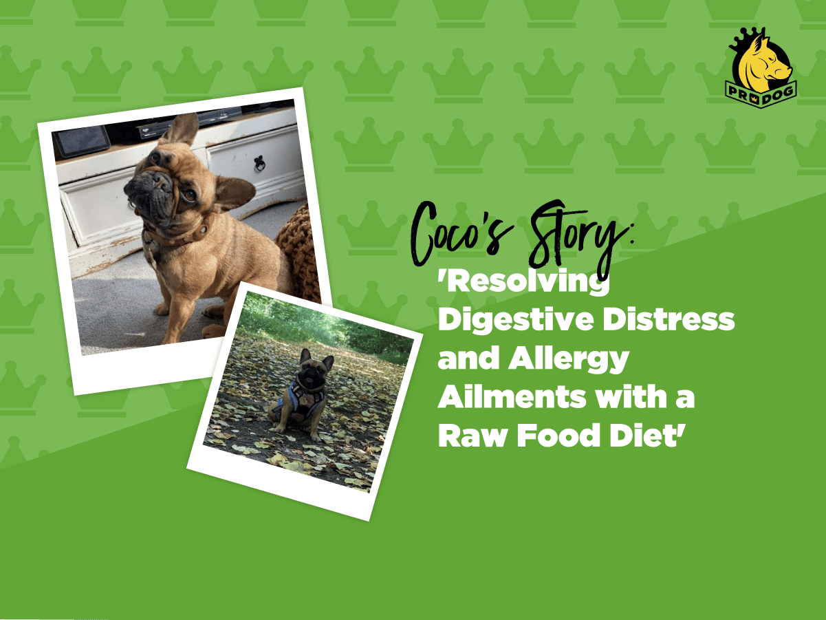 Resolving Digestive Distress & Allergy Ailments With A Raw Food Diet