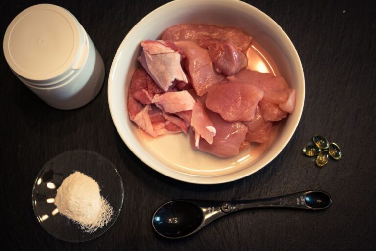 DIY raw dog food featured image (1)