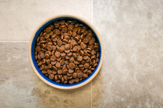 A bowl full of kibble