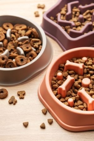 how is kibble made?