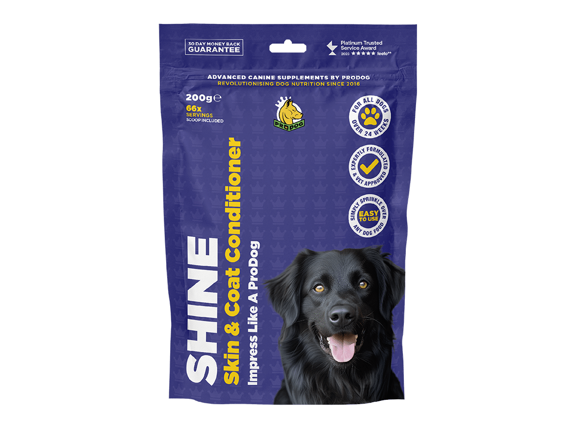 shine coat and skin supplement