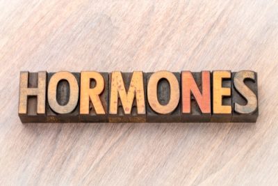 hormones and endocrine disease in dogs