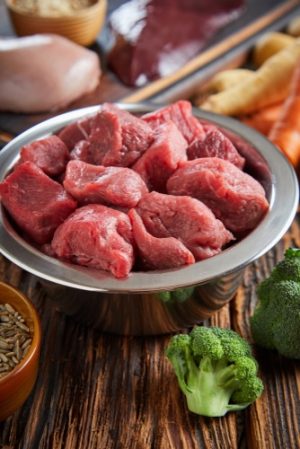 bowl of raw dog food
