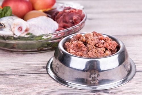 raw dog food diet
