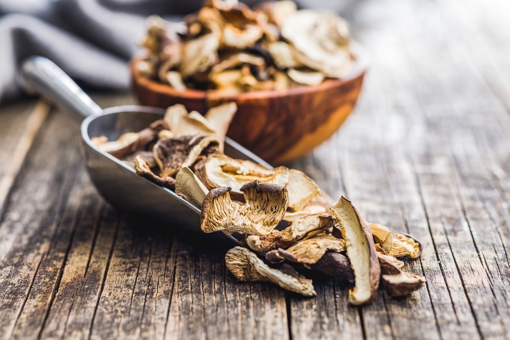 medicinal mushrooms