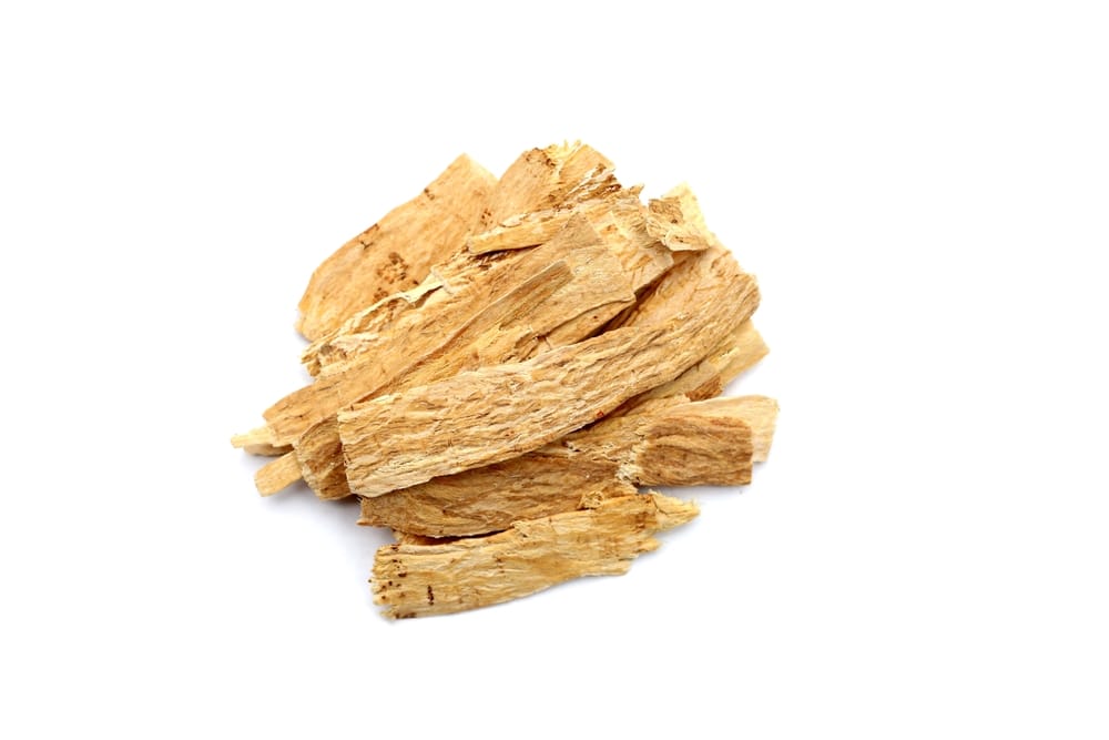 astragalus root
