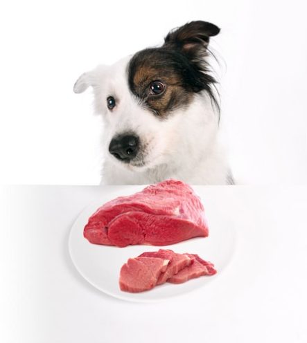 raw food diet