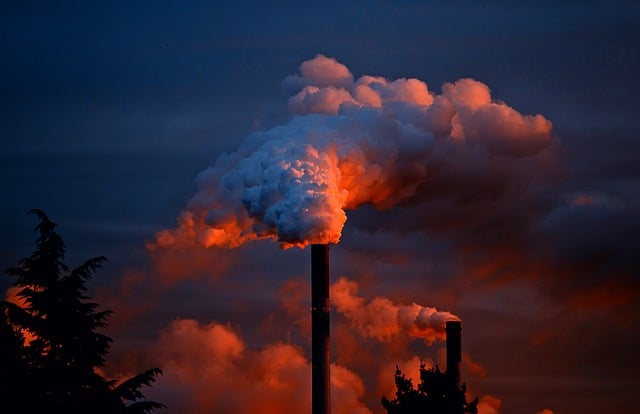 Pollution of all kinds can be responsible for toxicity in dogs.