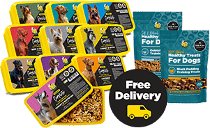 raw dog food sample pack