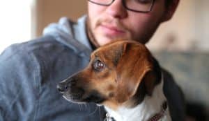 Pros and Cons of Spaying and Neutering: A Holistic Vet’s Perspective