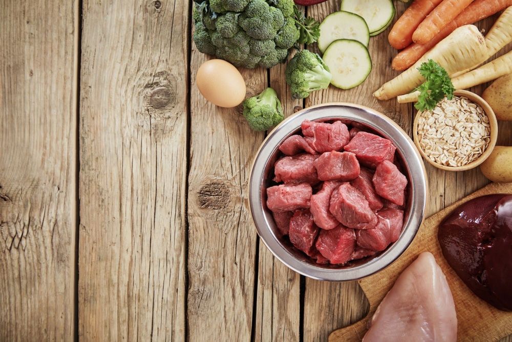 raw dog food diet