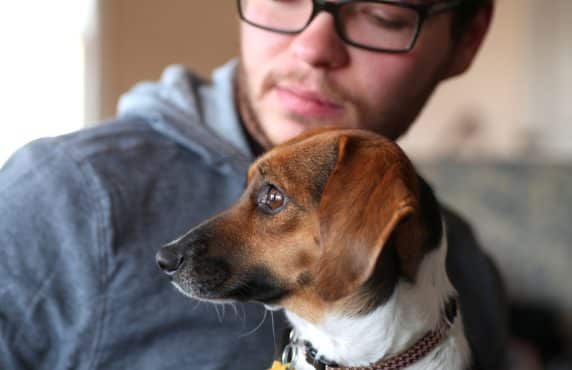 Nourishing Skin Health: A Comprehensive Approach for Pet Wellness