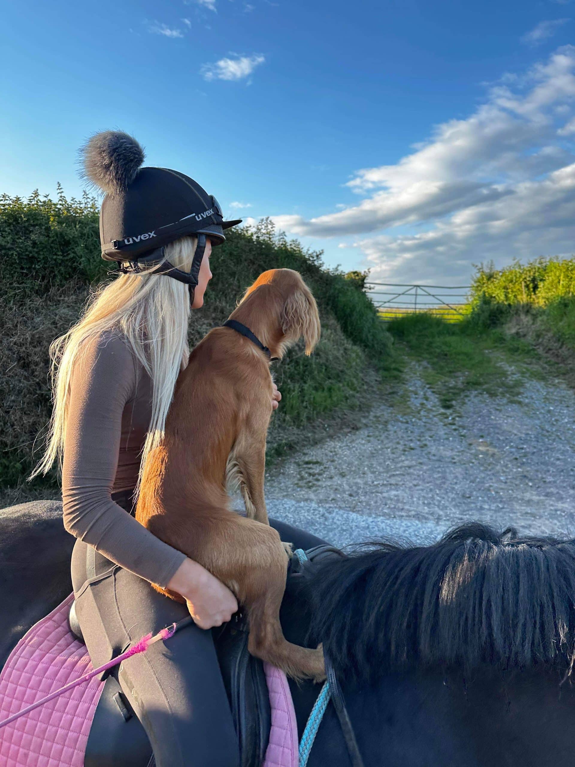 Crumpet’s Road to Recovery: Raw Feeding and Muscle+ in Action