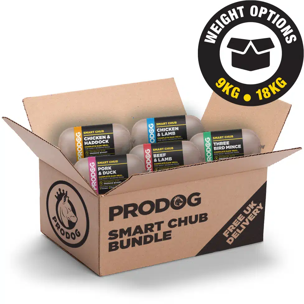 Smart Chub