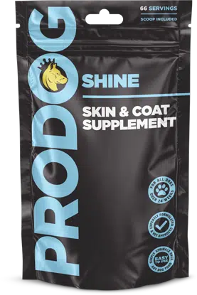 Shine