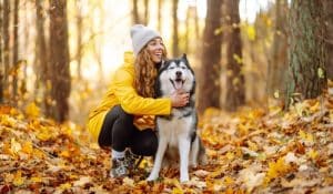 AUTUMN SAFETY TIPS EVERY DOG OWNER SHOULD KNOW