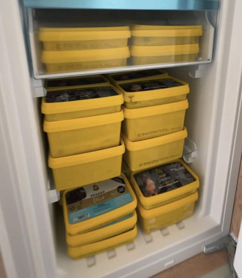 frozen raw dog food