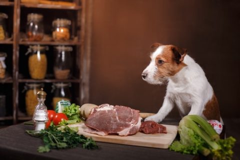 can you cook raw dog food?