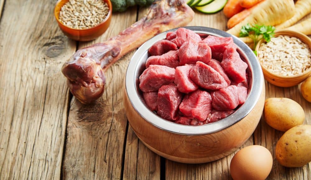 RAW DOG FOOD