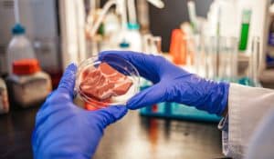 Bacteria In Raw Dog Food: Unpacking The Reality