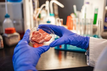 bacteria in raw dog food