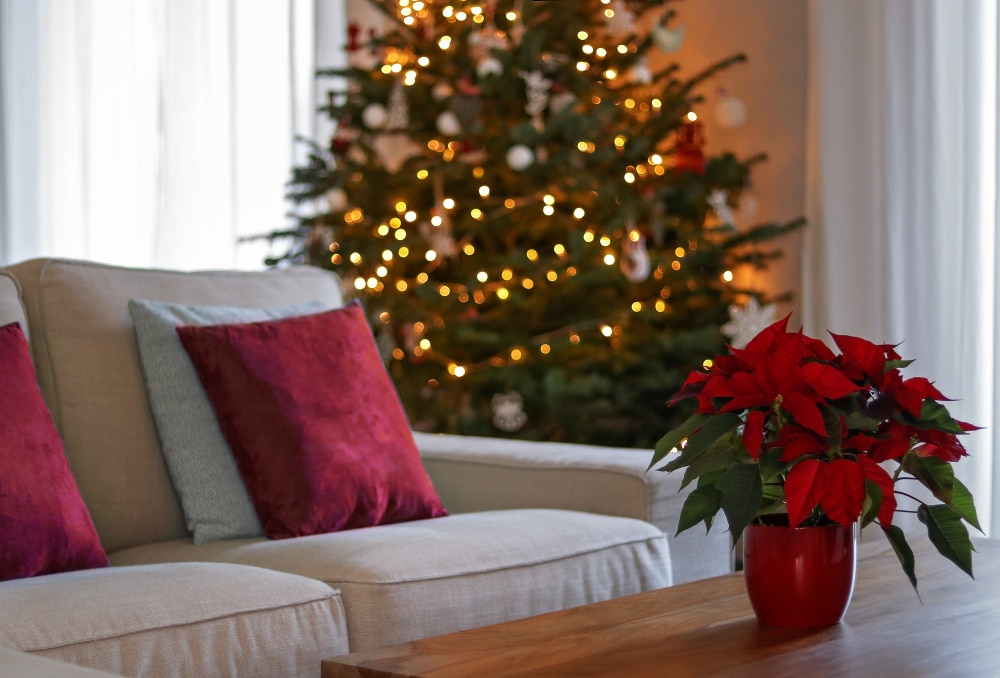 christmas hazards for dogs