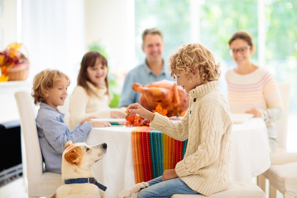 feeding a dog leftovers