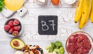 Everything You Need To Know About Biotin For Dogs
