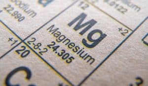 Everything You Need To Know About Magnesium For Dogs