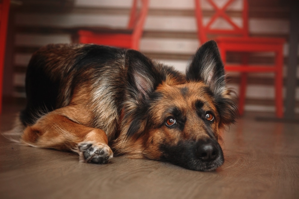 identifying a magnesium deficiency