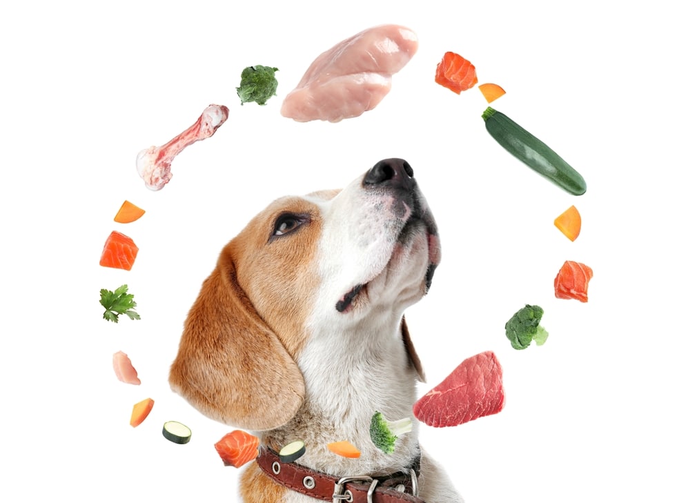 dogs and zinc