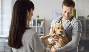 Dog Skin Tags: When to Worry and How to Treat It