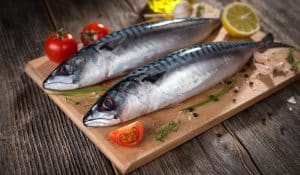 Omega 3 for Dogs: Benefits, Sources & Everything You Need to Know